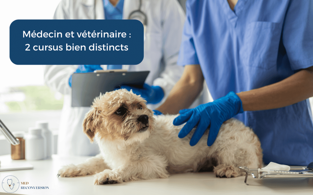 image d'un veterinaire avec un chien pour expliquer que les médecins peuvent choisir de devenir vétérinaire